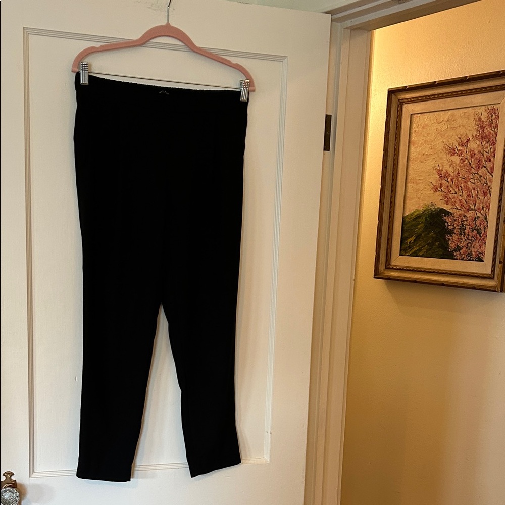 Zara Classic Basic Collection Black Pants - image 1